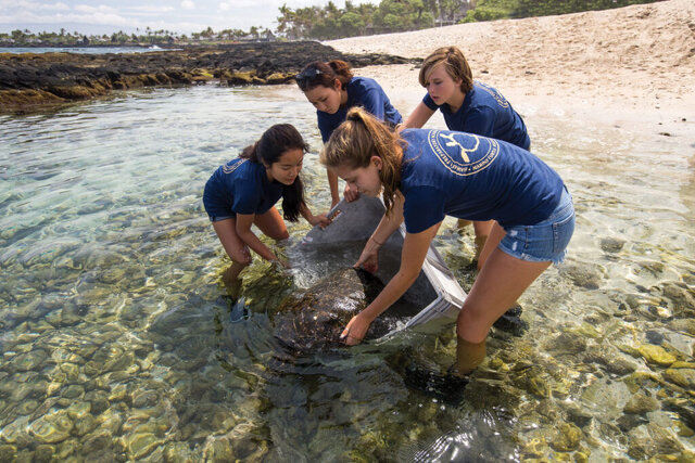 Hawai'i Preparatory Academyの海洋学習
