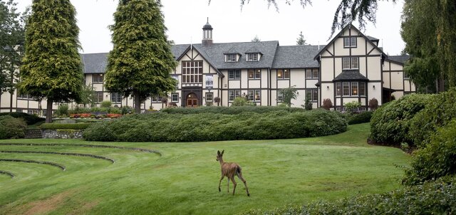 落ち着いた雰囲気のキャンパス